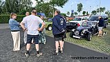 Zandlemig Vlaanderen